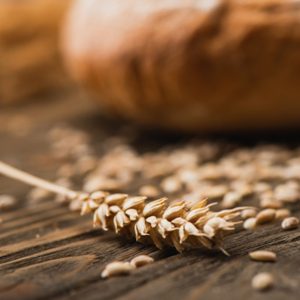 Wheat image